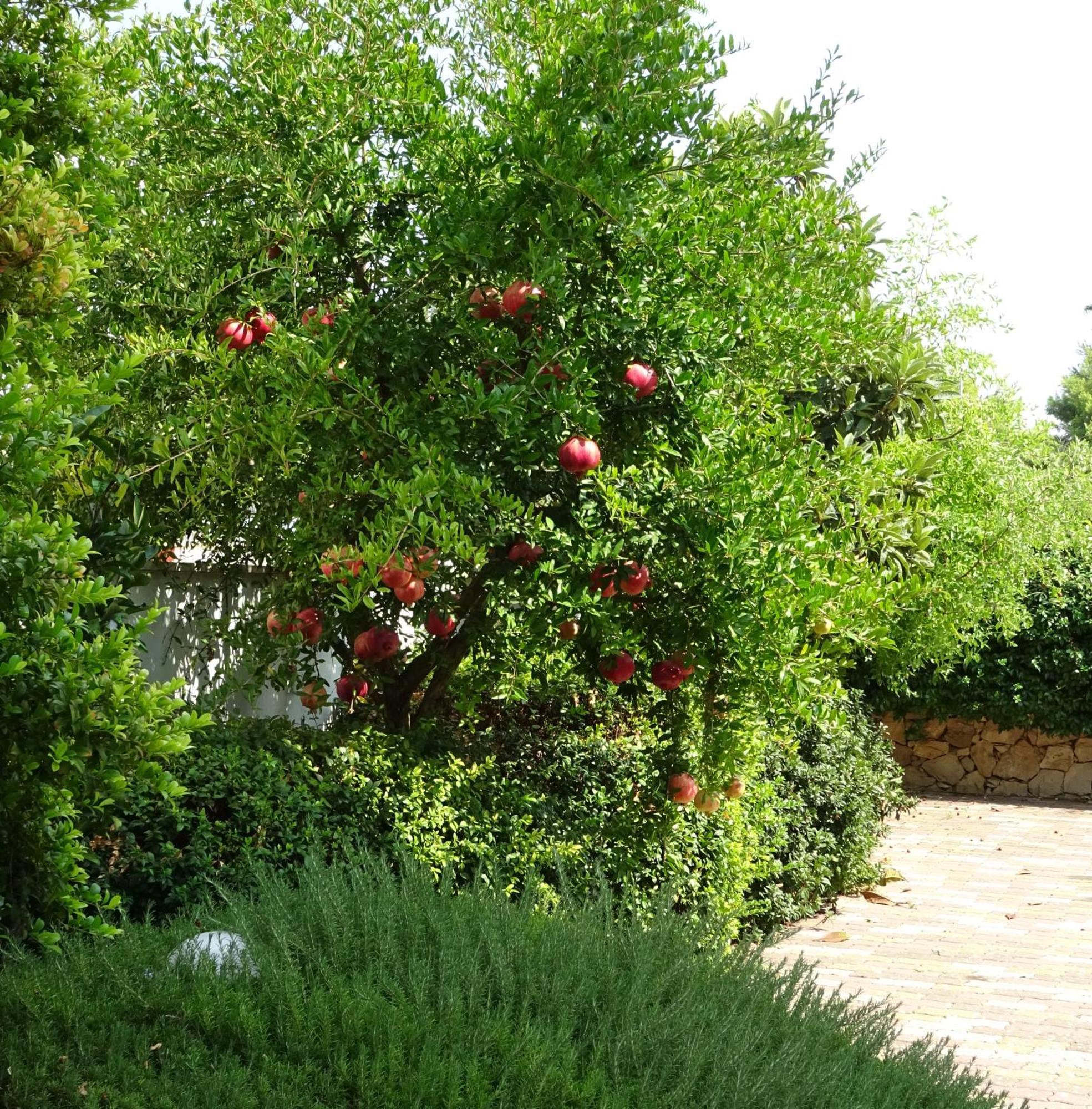 Il Melograno Vila Sannicola Exterior foto